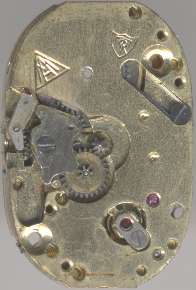 AM 74: Dial side view