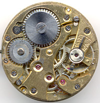 : FHF 1146