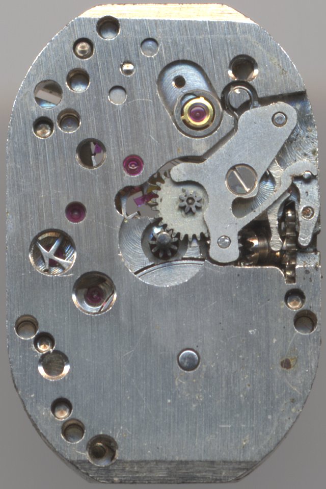 dial side, shock protected version