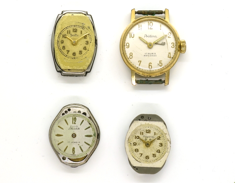 donation from february 2026